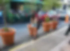 What are you looking at?