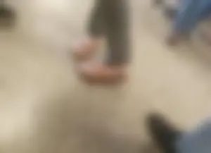 A bunch of nice girls' feed pics and vids