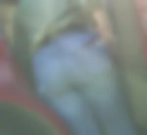 Cute Blonde with Nice Ass in Tight Jeans