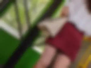Slim Legs in a Skirt Bus Creepshot