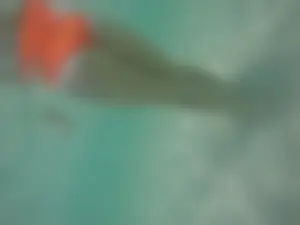 Underwater in a fantastic bikini