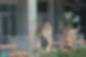 Group of teen friends in Florida in bikinis and thong