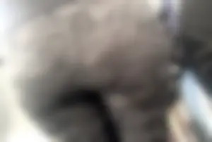 Leggings ladies at the airport