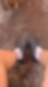A bunch of nice girls' feed pics and vids