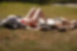 Creepshots of some girls in the park getting some sun in bikinis