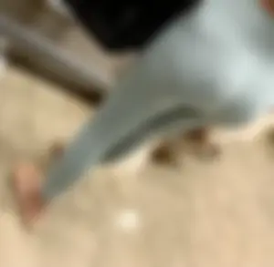 Tasty azn ass in leggings with VTL