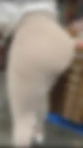 Thick latina milf