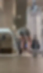 NVGTN Gym Ass / NOT OC