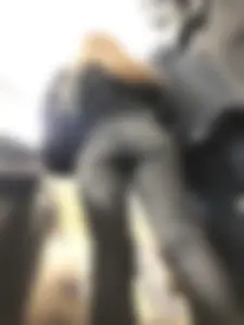 Juicy Booty in Tight Grey Jeans Low Angle Closeups on the Subway Escalator
