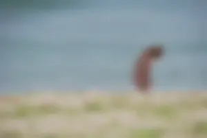 Sexy mature nude beach milf showing it all