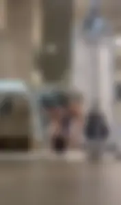 NVGTN Gym Ass / NOT OC