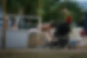 Nude beach pool milfs and mature ladies