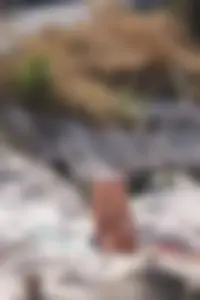 Nude girls on a beach in Hvar, Croatia