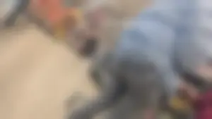 OC To Much ASS