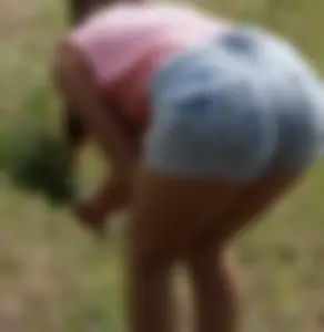 Hot Girl Bending Over While Collecting Flowers in the Countryside