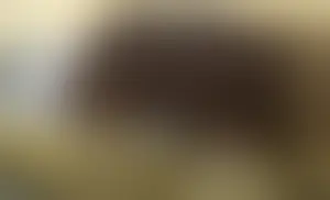 Amazing Asss Best Closeups  Not OC