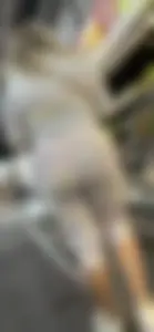 [OC] 2 Separate Latina MILFs shopping both VPL