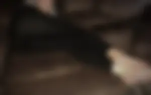 Barefoot Girl in Tights Lying on the Couch