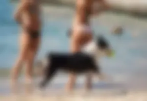Sexy candid beach and bikini girls