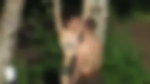 Hot Girl in a Bra and Shorts Outdoor Countryside Candid Photos