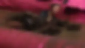 Bristol Pretty Muddy 5k race girls 2018