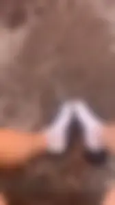 A bunch of nice girls' feed pics and vids