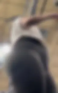 More juicy assess for the team :handshake:Gym