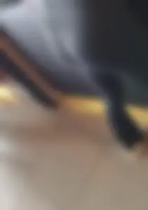 Fit Tight Butt  [Face shots]