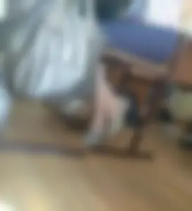 Legs in a Skirt And Flats College Classroom Photos
