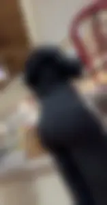 MILF Trader Joe’s got some good asss / not OC