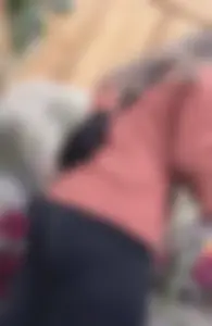 asian round booty looking for flowers at Trader joes