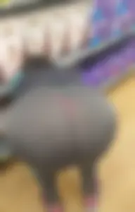 Latina vpl at walmart