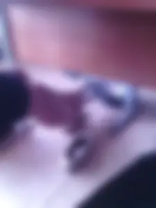 Teen College Girl’s Legs in Pantyhose and Flats with One Shoe Taken Off under the Desk Classroom Creepshots