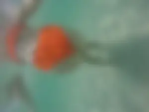 Underwater in a fantastic bikini