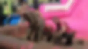 Bristol Pretty Muddy 5k race girls 2018