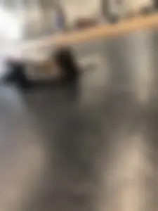 BUSTED! Teen SLUT lifts up her lulu bubble ass after she sees me to invite me to further creepshot