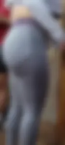 Grey Gym shark