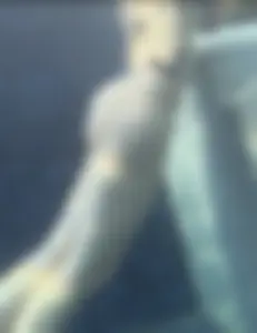 Sexy Tall Blonde in Blue Bikini caught underwater🌊