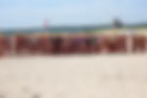Lifeguard tournament girls on the beach