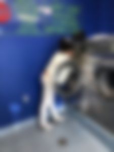 Whale tail at the laundromat