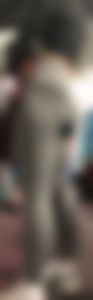 Gray leggings asian followed to two stores