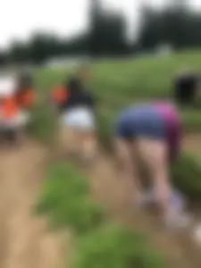 At the field