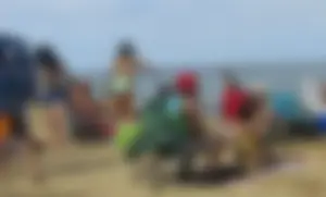 Taking a walk on the beach