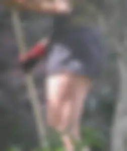 Brunette gardener in shorts bends over… and over as she works [085]