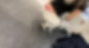 Non oc pt.26 (NO VIDS)