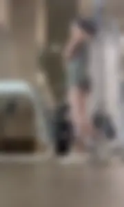 NVGTN Gym Ass / NOT OC