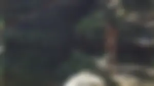 Naked Girl on the Cliff Hot Nature Creepshot