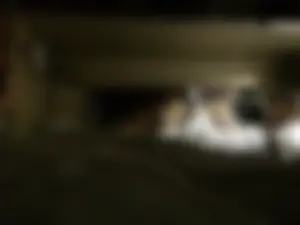 Hot Girl in Mini Shorts Closeups on a Railway Station And Asleep in a Sleeping Train Car