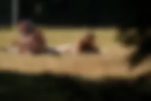 Creepshots of some girls in the park getting some sun in bikinis