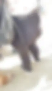 First Post OC huge Latina milf booty